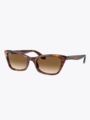 Ray-Ban Lady Burbank Striped Havana / Clear Gradient / Brown Lenses