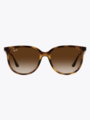 Ray-Ban 0RB4378 Havana / Brown Gradient