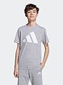 adidas Big Logo Tee 160 Junior Grey / White