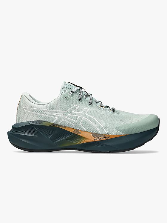 ASICS Novablast 5 TR Nature Bathing / Linchen Rock