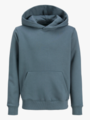 Jack and Jones Junior Urban Edge Sweat Hood Jnr Stormy Weather