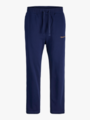 Jack and Jones Junior Kane Norrebro Sweat Pants Blå