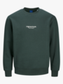 Jack and Jones Vesterbro Sweat Crew Neck Forest River