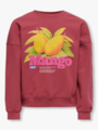 Kids Only Philea Life Long Sleeve Ovzfruit Oneck Ubrushed Sweat Earth Red Mango