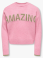 Kids Only Amour Long Sleeve Oneck Pullover Knit Sea Pink
