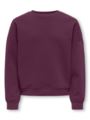 Kids Only Sweat Life Long Sleeve Crew Oversize Sweat Mauve Wine