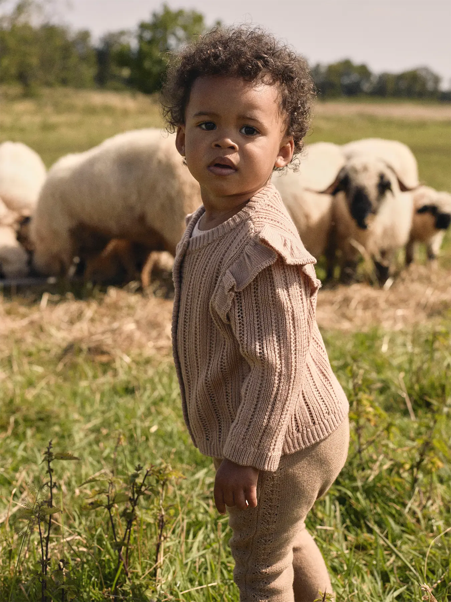 Lil- Atelier Nomo Long Sleeve Knit Cardigan Roebuck