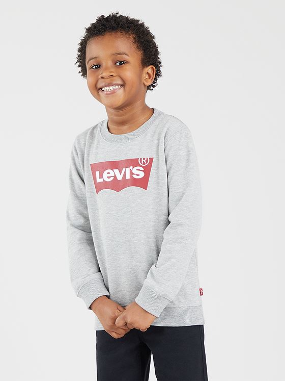 Levi-s Kids Batwing Crewneck Sweatshirt Grey Heather