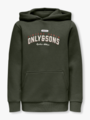 Only & Sons Jr Ceres Reg Vintage Print Hood Sweat Rosin
