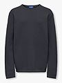Only & Sons Jr Panter Reg Crew Knit Dark Navy