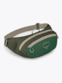 Osprey Daylite Waist Green Canopy/Green Creek