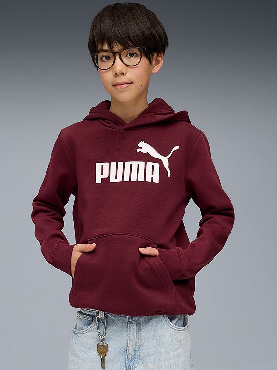 Puma Ess No. 1 Logo Hoodie Fl B Ruby Shimmer