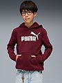 Puma Ess No. 1 Logo Hoodie Fl B Ruby Shimmer